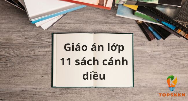 Giao an lop 11 sach canh dieu
